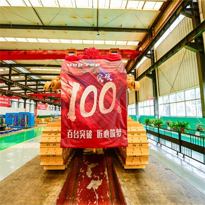 Bryder 100 på et halvt år, forfølger drømme med håndværk